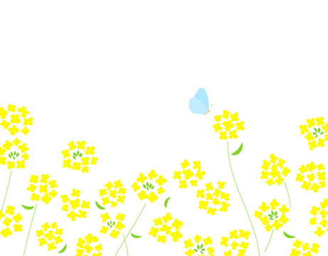 菜の花 Images Browse 504 Stock Photos Vectors And Video Adobe Stock