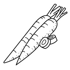Hand drawing carrots; black and white vector illustration; vegetable doodle illustration for stickers, posters, seasonal design. 