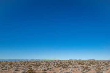 Fototapeta na wymiar USA, Nevada, Clark County, Mormon Mesa. A clear blue sky above a creosote bursage community of Mojave desert shrubs.