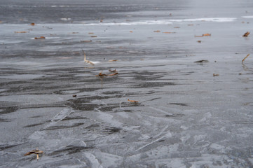 真冬の結氷した湖。氷の湖面。塘路湖、北海道