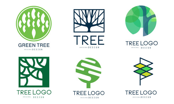 Tree Logo Templates Collection, Abstract Organic Green Badges Vector Illustration
