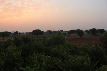 field, sunrise and blue sky