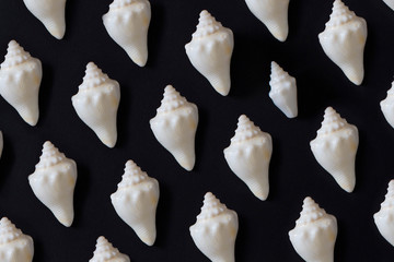 white sea shell pattern on black background