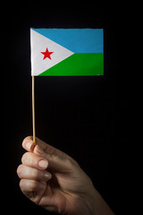 Hand with flag of Djibouti