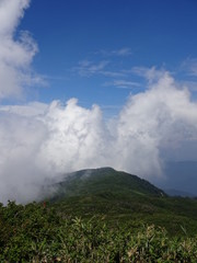Fototapeta na wymiar The mountain in Niigata, Japan