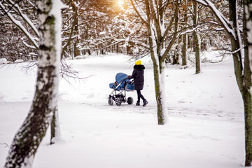 Fototapeta na wymiar Girl carries a child in a wheelchair in the winter Park