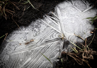 Ice in a frozen puddle as a background