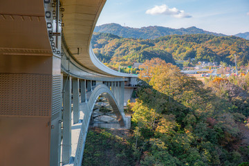 天竜峡大橋の秋