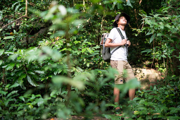 Naklejka na ściany i meble A male hiker hiking in the forest