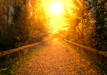 Obraz premium La Soria rural a cloudy autumn day