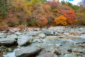 紅葉の阿寺渓谷