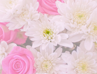 dark pink roses and white chrysanthemums top view, filtered image