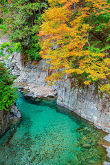 紅葉の阿寺渓谷