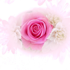 Fototapeta na wymiar a dark pink rose and white chrysanthemums top view, filtered image