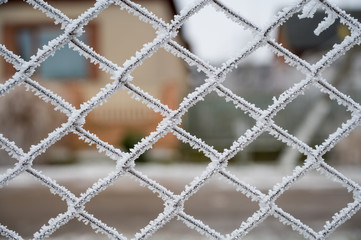 Fototapeta premium Fence covered with hoarfrost on a frosty winter day