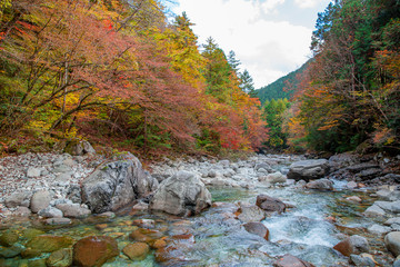 紅葉の阿寺渓谷