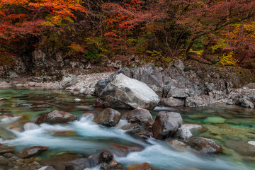 紅葉の阿寺渓谷