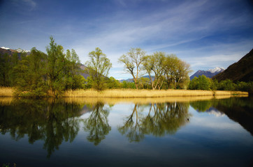 Fototapeta na wymiar Trees Reflection on the Water with Mountain in Ticino, Switzerland.