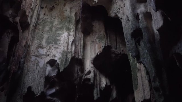 Bats flying in cave. Thailand. Handheld