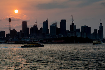 Ferries making their way across Sydney harbour at sunset