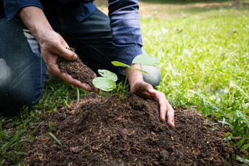 The young man is planting the tree to preserve environment