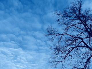 clouds in sky natural background toned in trendy Classic Blue color of the Year 2020