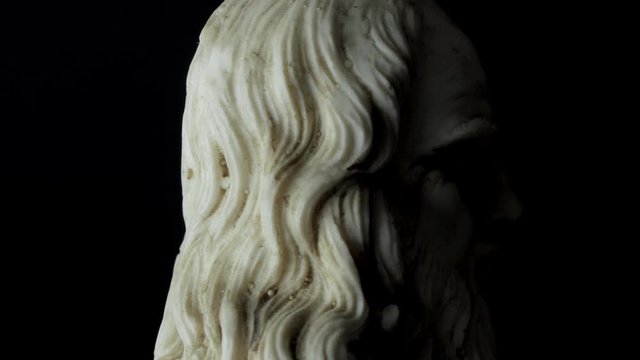 half length portrait of Leonardo da Vinci rotating on a black background