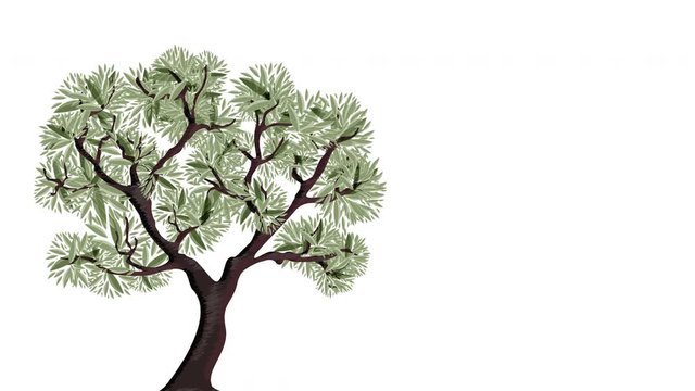 olivier, arbre illustration vecteur- copy space communication