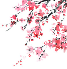 Blossom sakura tree © ola_tarakanova