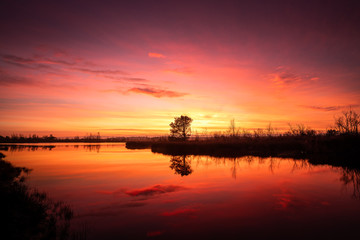 Spectaculaire zonsopgang bij Nationaal park de Groote Peel in Limburg en Noord-Brabant in Nederland. Mooie rode en paarse kleuren van zonsondergang met reflectie in het meer. Landschap Nederland