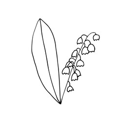 Vector illustration of the first spring flower lily