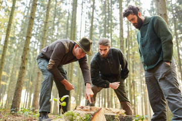 Förster in Ausbildung analysieren Baumschaden
