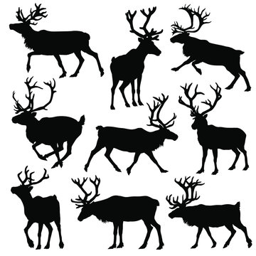 Reindeer silhouette set. Vector illustration