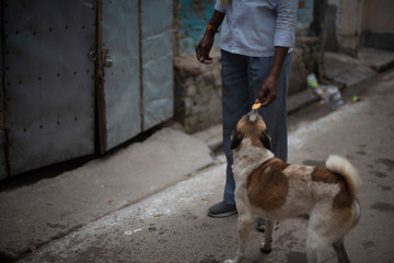 Indian man feeding street dog in the street. Indian lifestyle