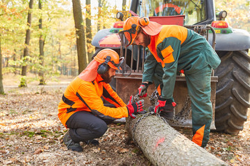 Waldarbeiter befestigen Baumstamm am Forwarder