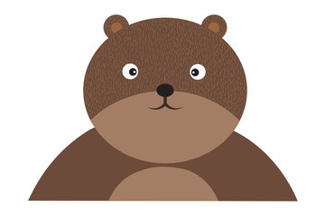 Bear isolated on white background.