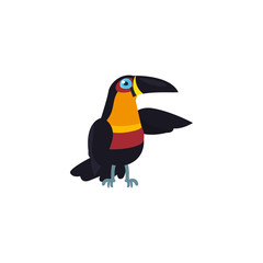 Isolated toucan bird vector design