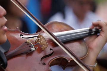 violin on black background