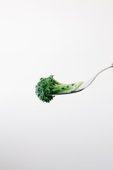 a fork with a green inflorescence of fresh broccoli on a white background. vegan food