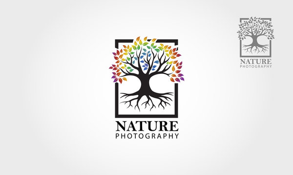 Nature photography logo template. Illustration rainbow tree clean and modern style on white background.
