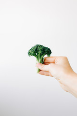 Fototapeta na wymiar green inflorescence of fresh broccoli in hand on a white background. vegan food