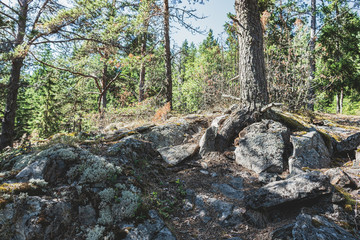 Ladoga lake- visit the national Park