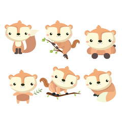 Little cute squirrel in different poses..