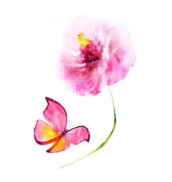 Watercolor flower with butterfly , isolated on white background