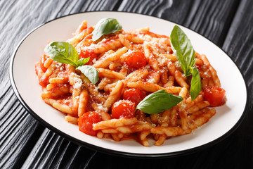 Ligurian trofie pasta cooked with tomato sauce, parmesan and basil close-up in a plate. horizontal