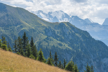 Obraz premium Beautiful swiss alps mountains. Alpine meadows. 