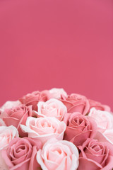 Buds of pink and white roses on a pink background.