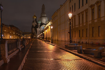 Griboedov Canal Embankment; Cathedral of the Savior on Spilled Blood against the background of the night sky