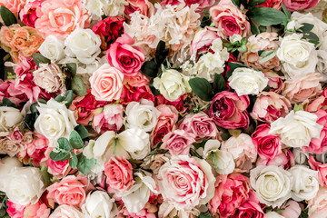 Flower pattern/texture made of pink, beige roses flower buds on white background. Flat lay, top view.
