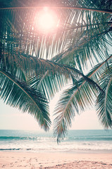 Zon schijnt door palmbladeren, retro kleur getinte foto.